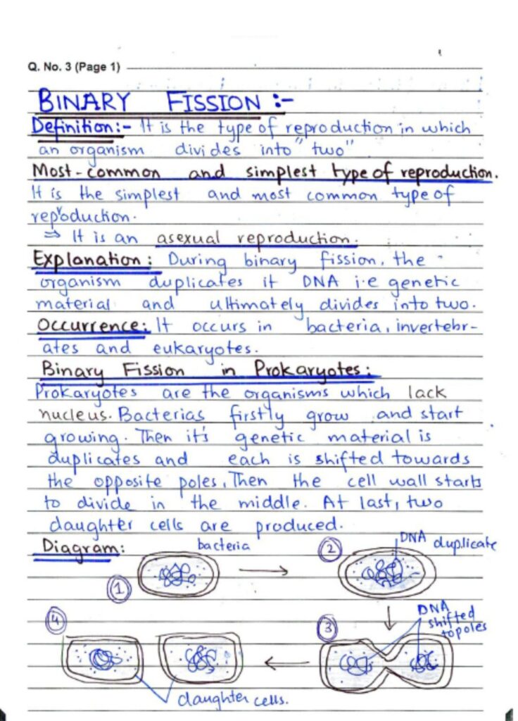 Exam Paper Presentation Mistakes Students Make