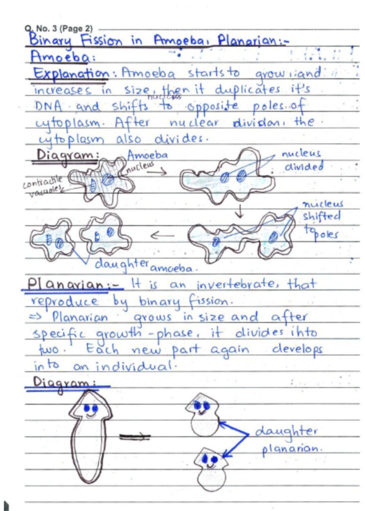 Exam Paper Presentation Mistakes Students Make