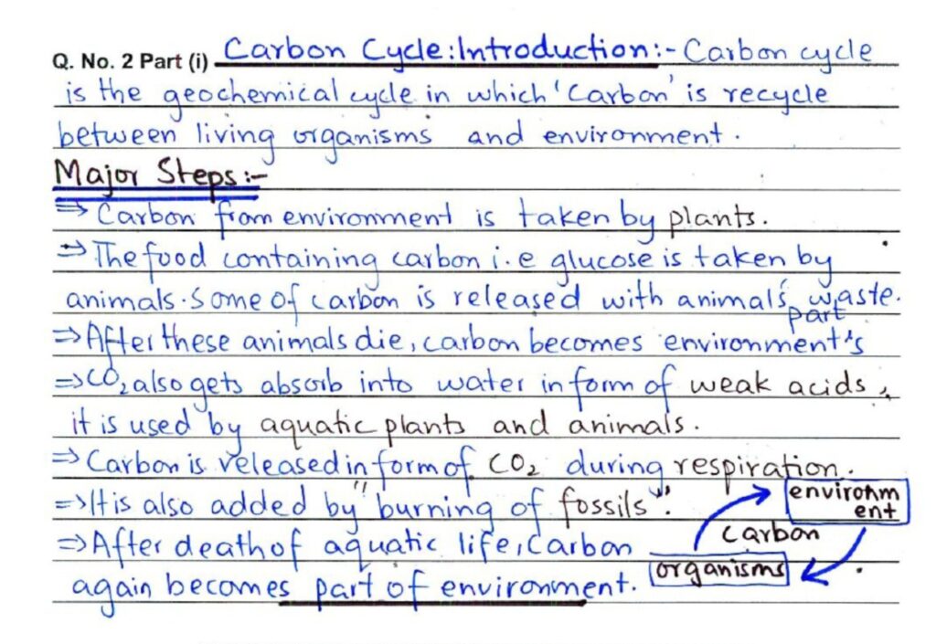 Exam Paper Presentation Mistakes Students Make