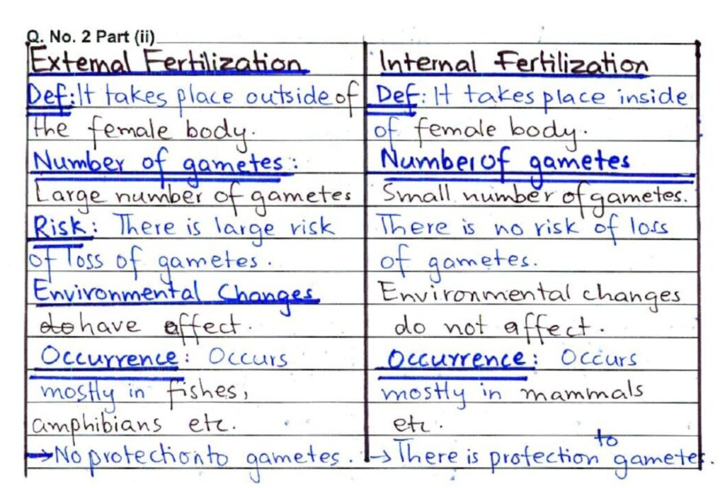 Exam Paper Presentation Mistakes Students Make