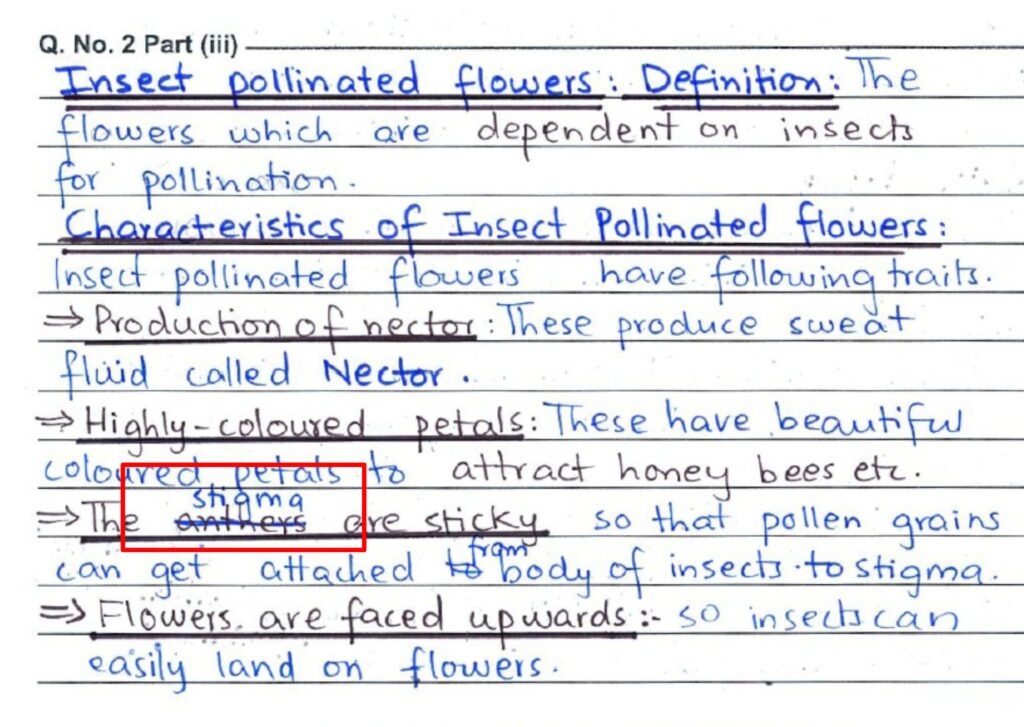 Exam Paper Presentation Mistakes Students Make